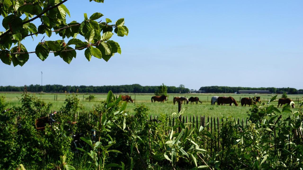 Luxe safaritenten Petit013 - nieuw Tilburg Buitenkant foto
